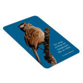 Een witte-Gesneden Sparrow Zingt aan de Zon Magneet (Rechterzijde)