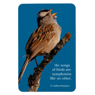 Een witte-Gesneden Sparrow Zingt aan de Zon Magneet