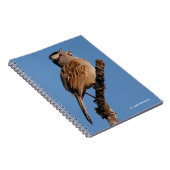 Een witte-Gesneden Sparrow Zingt aan de Zon Notitieboek (Rechterzijde)