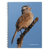 Een witte-Gesneden Sparrow Zingt aan de Zon Notitieboek (Voorkant)