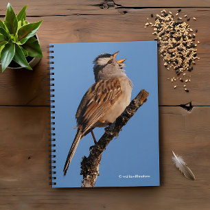 Een witte-Gesneden Sparrow Zingt aan de Zon Notitieboek