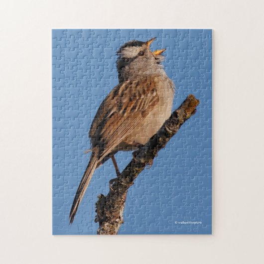Een witte-Gesneden Sparrow Zingt aan de Zon van de Legpuzzel (Verticaal)