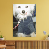 Een witte hond die kleren draagt. canvas afdruk (Insitu (Woonkamer))