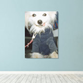 Een witte hond die kleren draagt. canvas afdruk (Insitu (Houten vloer))