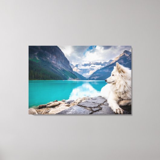 Een witte hond die op een rotsformatie zit canvas afdruk (Voorkant)