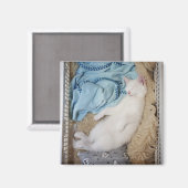 Een witte kat die in een wasmand slaapt, magneet (Voorkant / Achterkant)