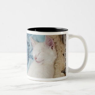 Een witte kat die in een wasmand slaapt, tweekleurige koffiemok