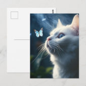 Een witte kat met blauwe ogen kijkt naar een vlind briefkaart (Voorkant / Achterkant)