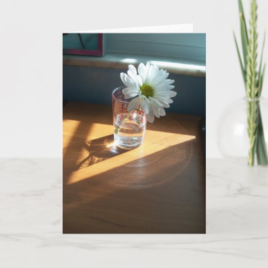 Eén witte maaltijd op een zonnige plek op een blan kaart (Voorkant)