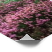 Een witte mazen in de Montain Poster (Hoek)