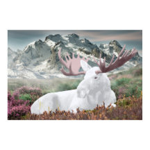 Een witte mazen in de Montain