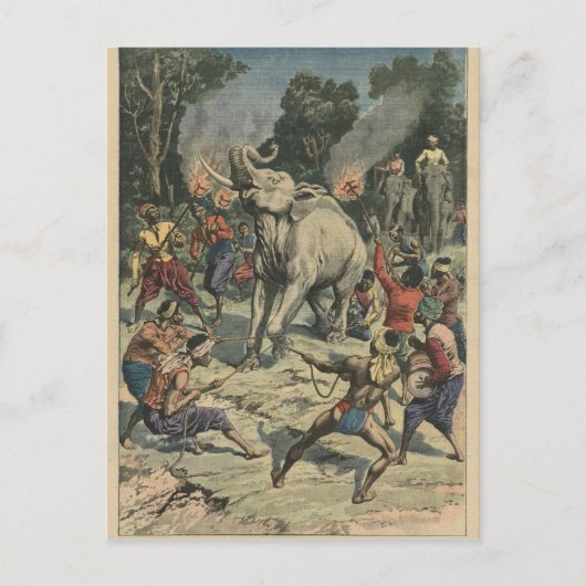 Een witte olifant vangen in Siam Briefkaart (Voorkant)
