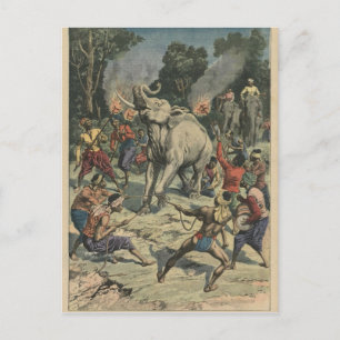 Een witte olifant vangen in Siam Briefkaart