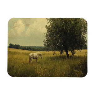 Een Witte Paard Grazend In Een Veld Magneet