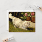 Een witte Perzische Kat die een Ladybug kijkt Kaart (Voorkant / Achterkant in situ)