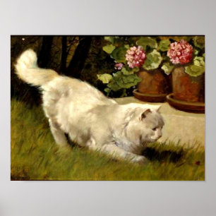 Een witte Perzische Kat die een Ladybug kijkt Poster