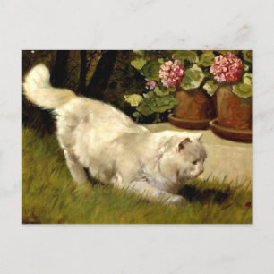 Een witte Perzische kat die een lieveheersbeestje  Briefkaart