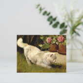 Een witte Perzische kat die een lieveheersbeestje  Briefkaart (Staand voorkant)