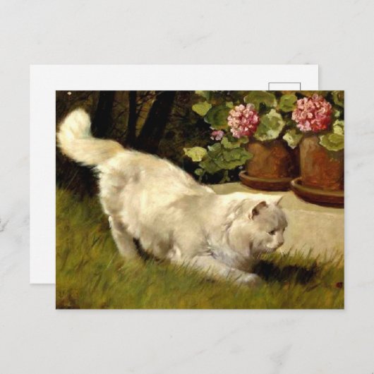 Een witte Perzische kat die een lieveheersbeestje  Briefkaart (Voorkant / Achterkant)