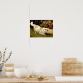 Een witte Perzische kat die een lieveheersbeestje  Poster (Keuken)