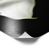Een witte & pure Calla Lily: Een anatomie van een  Foto Afdruk (Hoek)