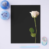 Eén witte roos op een zwarte achtergrond flyer (Enkel)