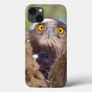 Een witte slang iPhone 13 hoesje