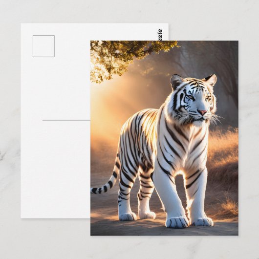 Een witte tijger briefkaart (Voorkant / Achterkant)