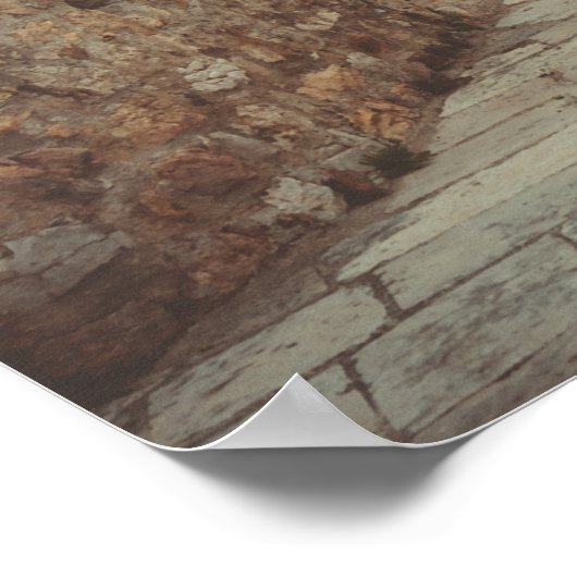 Een witte vuurtoren en een olijfboom poster (Hoek)