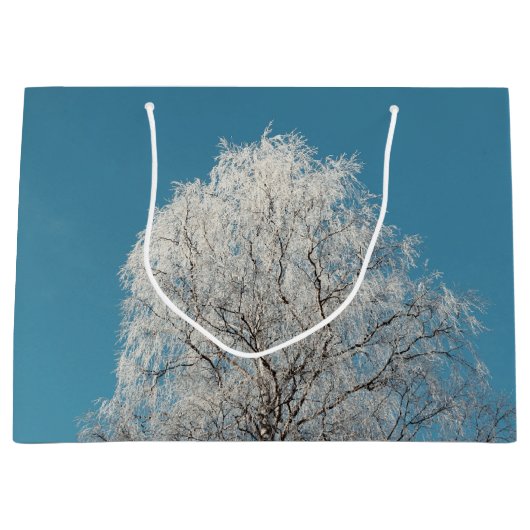 Een witte wilg tegen een wolkenloze blauwe hemel groot cadeauzakje (Voorkant)