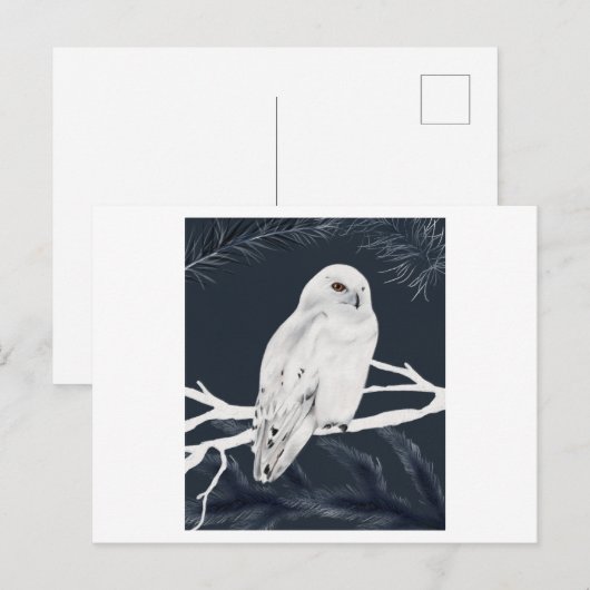 Een witte winterbaars op een tak briefkaart (Voorkant / Achterkant)