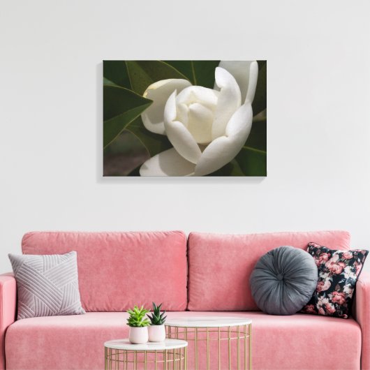 Een witte Zuid-Magnoliebloem Canvas Afdruk (Insitu (Woonkamer))