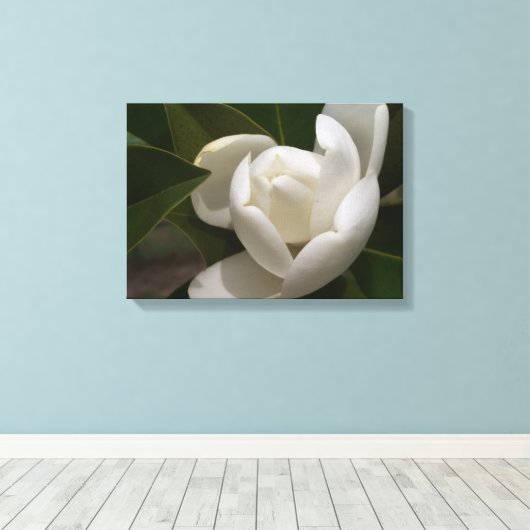 Een witte Zuid-Magnoliebloem Canvas Afdruk (Insitu (Houten vloer))