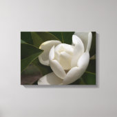Een witte Zuid-Magnoliebloem Canvas Afdruk (Voorkant)