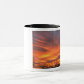 Een woestijnsahuaro cactus met een prachtige zonso mok (Midden)