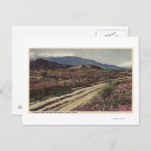 Een woestijnweg door Springtime Flower Fields Briefkaart (Voorkant / Achterkant)
