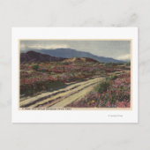 Een woestijnweg door Springtime Flower Fields Briefkaart (Voorkant)