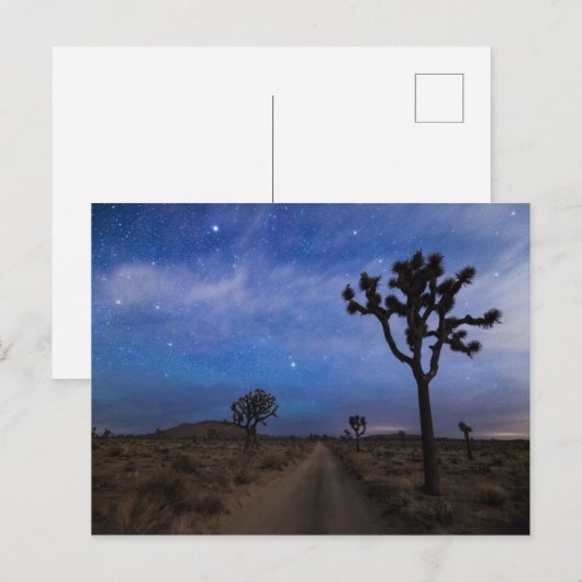Een woestijnweg en Joshua Trees bij nacht Briefkaart (Voorkant / Achterkant)