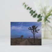 Een woestijnweg en Joshua Trees bij nacht Briefkaart (Staand voorkant)