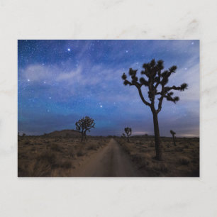 Een woestijnweg en Joshua Trees bij nacht Briefkaart