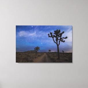 Een woestijnweg en Joshua Trees bij nacht Canvas Afdruk