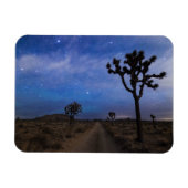 Een woestijnweg en Joshua Trees bij nacht Magneet (Horizontaal)