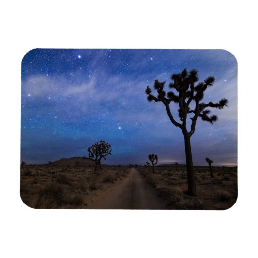 Een woestijnweg en Joshua Trees bij nacht Magneet (Horizontaal)