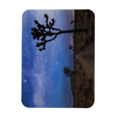 Een woestijnweg en Joshua Trees bij nacht Magneet (Verticaal)