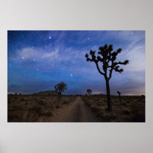 Een woestijnweg en Joshua Trees bij nacht Poster