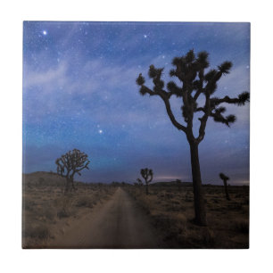 Een woestijnweg en Joshua Trees bij nacht Tegeltje