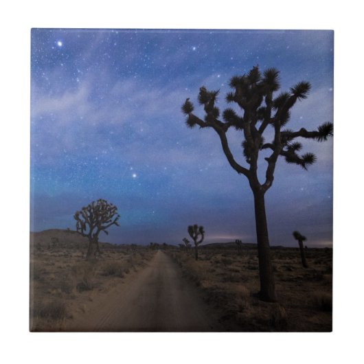 Een woestijnweg en Joshua Trees bij nacht Tegeltje (Voorkant)