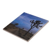 Een woestijnweg en Joshua Trees bij nacht Tegeltje (Zijkant)