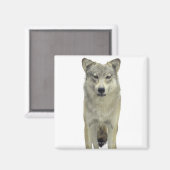 Een wolf magneet (Voorkant / Achterkant)