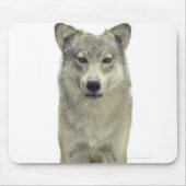 Een wolf muismat (Voorkant)